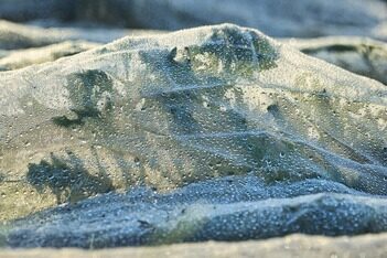 面向IoT时代的操作系统架构设计