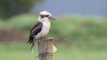 Cursor 3 推出智能体优先界面，突破传统 IDE 模式