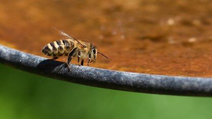 百度文库网盘发布GenFlow 4.0：月活用户超1亿，要把网盘变成全端AI工作台