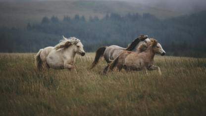 同样使用@State装饰器，有时第三层数据可以更新UI，有时不可以，是什么原因？