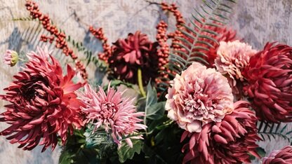 OpenTelemetry”指南，以扩大可观测性的采用