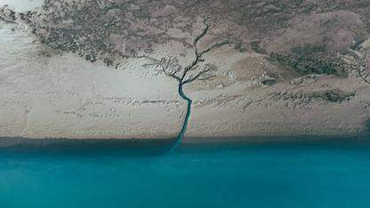 【开发者实战录】​鸿蒙全链路赋能：看成语教育APP如何实现体验飙升与质量攻坚？