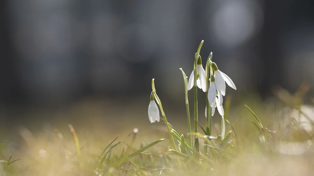 谷歌 Cloud AI 总监 14 年血泪复盘：AI 时代工程师不可替代的 5 类能力，代码反而排在最后