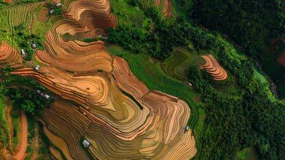 Agent Skills 落地实战：拒绝“裸奔”，构建确定性与灵活性共存的混合架构