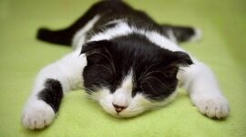 星巴克中国一体化可观测性重构：从日志检索到指标驱动，构建低成本、高可用的可观测体系