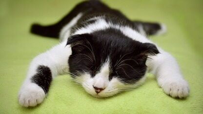 星巴克中国一体化可观测性重构:从日志检索到指标驱动,构建低成本、高可用的可观测体系