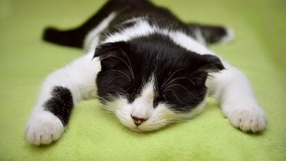 史上最“疯狂”高中:没有老师、全靠AI?全员入学定创业项目,目标是成为领域顶尖专家