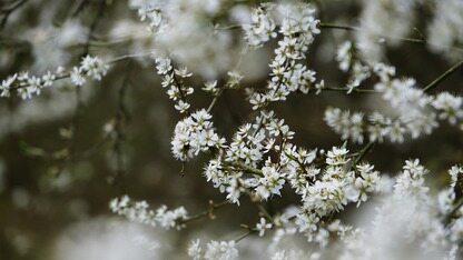 从云原生到 Agent Engineering:AI 时代的软件架构跃迁|QCon北京