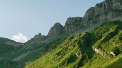 Radicle 披露了可能导致私有仓库以明文形式暴露的关键漏洞