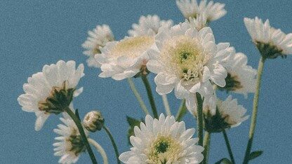 面向 AI 智能体的有状态接续:传输层为何至关重要