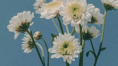 银行业云原生事件驱动架构实践:经验与教训