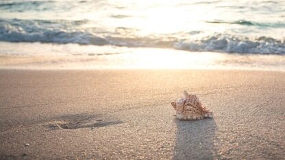 【有搜必应】HarmonyOS TOP5热搜技术问题解析第四期