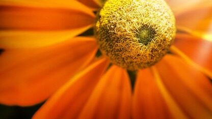 基于昇腾NPU的生成式推荐scaling law落地实践 |AICon 北京