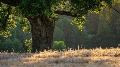 安全噩梦：Docker警告MCP工具链中存在的风险
