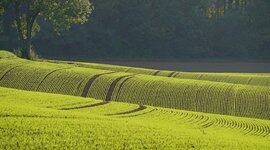 没活硬整？OpenAI新发的GPT-5.1被网友狂吐槽：我不想和它聊天，我想用它工作