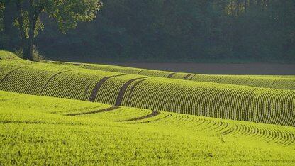 从 Greenplum 到 Doris：集群缩减 2/3、年省数百万，度小满构建超大规模数据分析平台技术实践