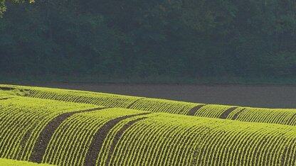 通用Agent技术在小爱同学场景中的实践|AICon北京