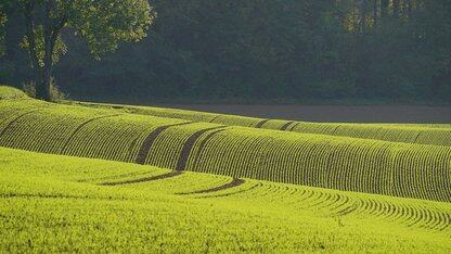 没活硬整?OpenAI新发的GPT-5.1被网友狂吐槽:我不想和它聊天,我想用它工作