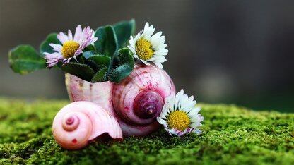 FACTS基准测试套件问世，用于评估大型语言模型的事实准确性