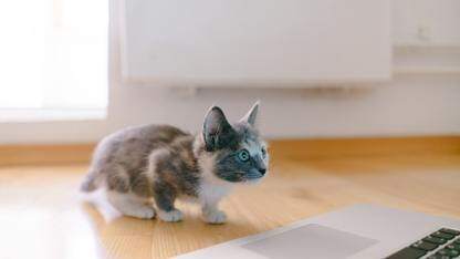 欧洲数据主权倡议发布了一个信任框架