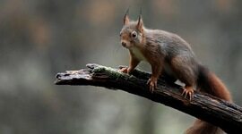 2022年全栈开发展望：趋势、框架与语言