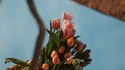 拒绝质量波动：使用生成式测试寻找隐藏错误