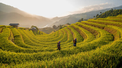 极速、稳定、丝滑:OpenClaw 接入 Mooncake 后的性能跃迁