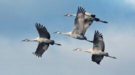 CodeClash通过多轮编程竞赛对大型语言模型进行基准测试