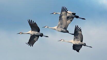 Azure Front Door中断:单控制平面缺陷暴露了架构的脆弱性