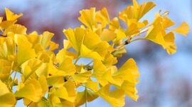 北大&作业帮团队提出 Text-to-SQL 新框架 Interactive-T2S，攻克宽表处理与低资源对齐难题