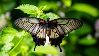 面壁智能官宣新一轮数亿元融资，国家队与产业资本同时下注