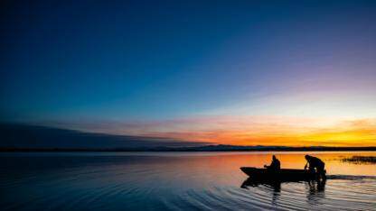 “新”意十足 ·&nbsp;HarmonyOS模板&组件  （本次上新：新闻资讯/uni-app、绘画模板；通用搜索、会员组件）