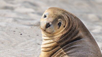 作为团队管理者，我在培养机器学习工程师过程中的一些心得