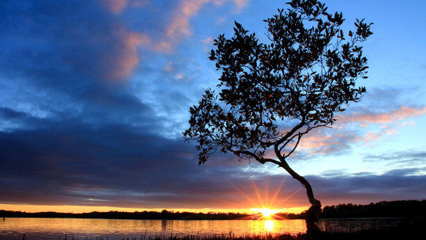 国内最重视生成式AI的企业和最卷的同事们都在哪？｜InfoQ技术大会年中盘点