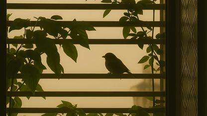 关于replacePath和pushPathByName的问题，用replacePath后返回还是上一个页面是为什么？