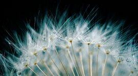 Go语言开源 12 年，明年重点完善泛型和供应链安全