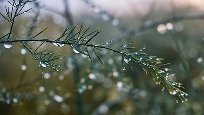 阿里云智能集团高级技术专家刘少伟已确认出席AICon上海站，并分享如何构建企业 Agent 的自动化行动架构