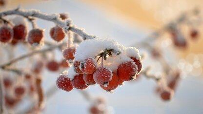 Reddit将其评论功能的后端从Python迁移为Go微服务