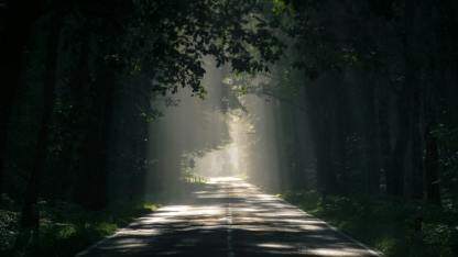 新瓶旧酒or涅槃重生?操作系统的 AI 进化终将走向何方?