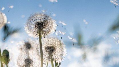 亚马逊云科技倪殿令：企业数据资产是价值创造的关键差异化要素