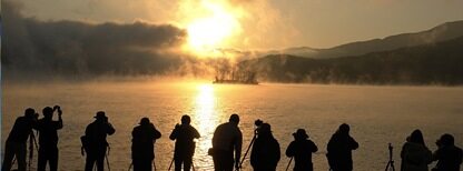 贸易战下的科技公司百态