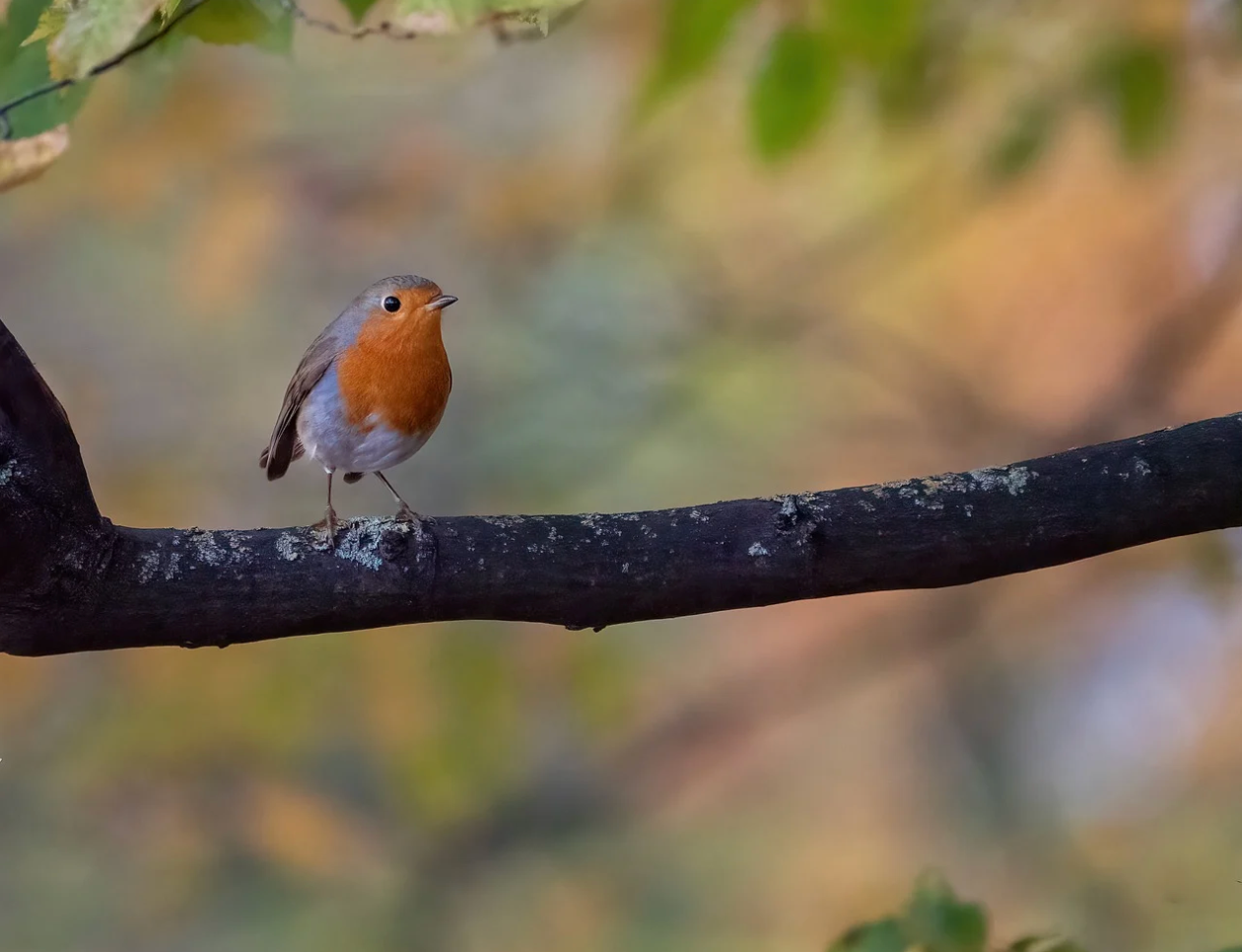 当搜索遇见 AIGC:京东零售的“千人千面”素材生成实践
