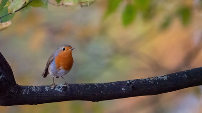 当搜索遇见 AIGC：京东零售的“千人千面”素材生成实践