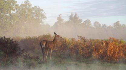 AI原生数据库的思考