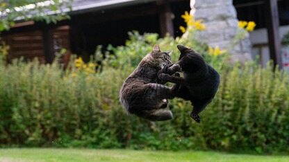 从 Vibe Coding 到 Spec Driven:网易智企智能化软件工厂的思考和实践|QCon北京