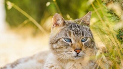 流量仅ChatGPT 1%，马上冲3500亿美元IPO？营收年增10倍，Anthropic CEO嘲讽Altman：我们从不玩 “红色警报”