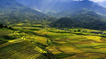 湖仓建设中的巴别塔：跨数据库引擎处理标识符解析规则