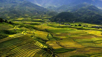 谷歌Java版ADK 1.0发布：全新的应用与插件架构以及外部工具支持