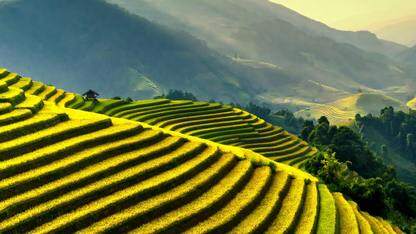 Netflix发现了在现代CPU上扩展容器时的内核级瓶颈