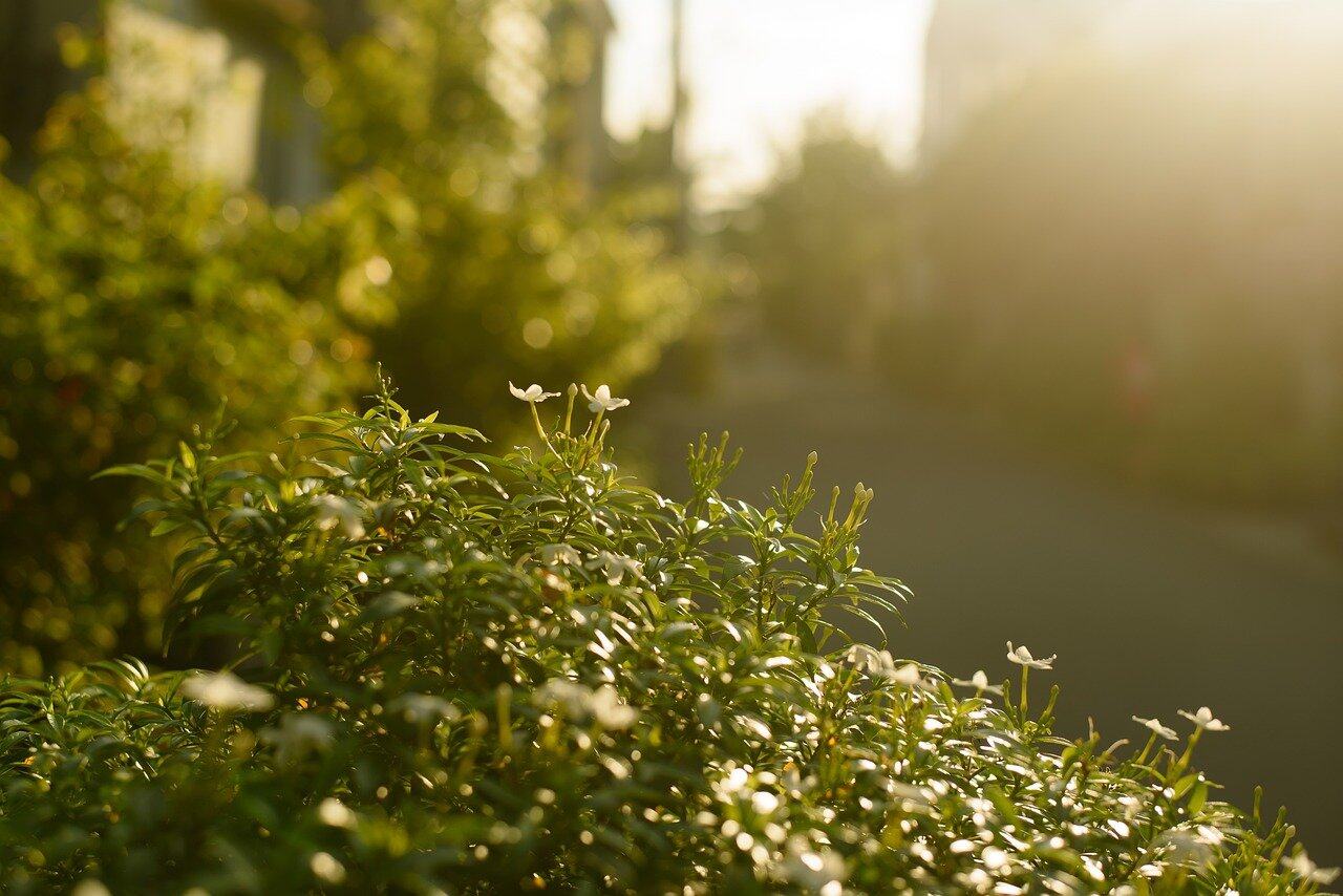 工商银行软件开发中心研发管理系统权限体系的探索与实践